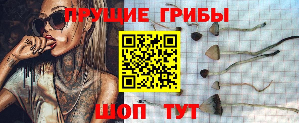 Псилоцибиновые грибы мухоморы Лыткарино