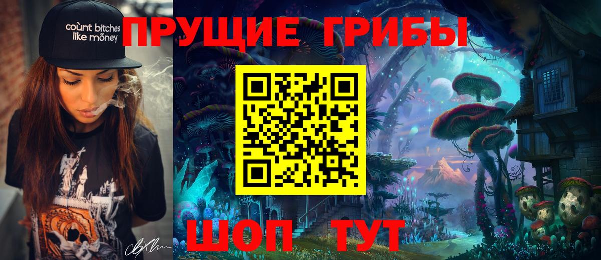 Псилоцибиновые грибы Psilocybe  Лыткарино 