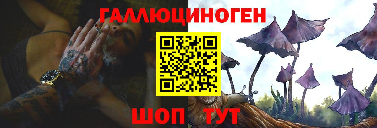 Псилоцибиновые грибы Psilocybine cubensis  Вход с VPN  купить наркоту  Лыткарино  Галлюциногенные грибы Cubensis 